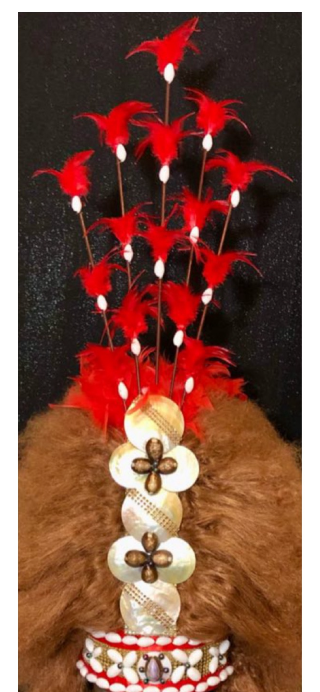 Crown of Samoa - Tuiga (Large)  made to order
